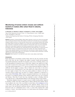 Monitoring of human enteric viruses and coliform bacteria in waters