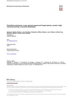 Penicillium arizonense, a new, genome sequenced fungal species