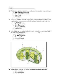 1. What stage of photosynthesis involves the use of the elect
