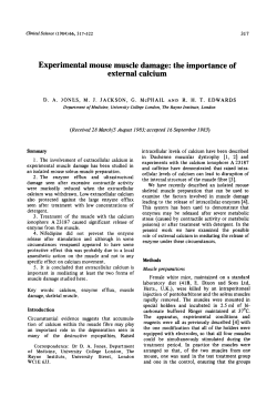 Experimental Mouse Muscle Damage: The