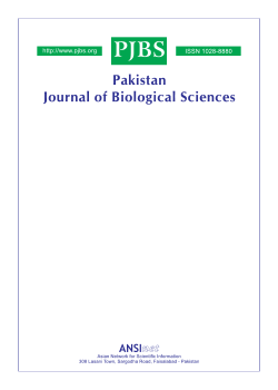 Salient Characteristics of Cultivated Soil Influenced by Legume and