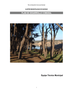 Descargar - Municipalidad de Navidad