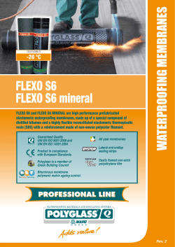 FLEXO S6 FLEXO S6 mineral