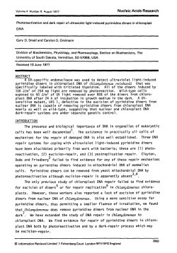 Photoreactivation and dark repair of ultraviolet light