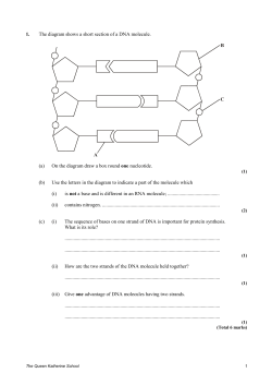 1. The diagram shows a short section of a DNA molecule