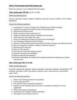Unit 3: Free energy and Cell energy use