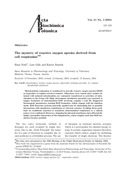The mystery of reactive oxygen species derived from cell respiration