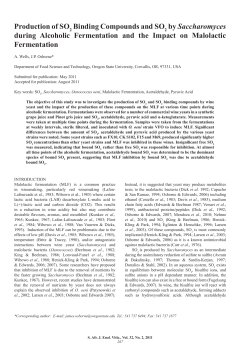 Production of SO Binding Compounds and SO by Saccharomyces