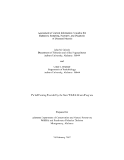 Final Report - Outdoor Alabama