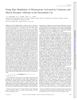 Firing Rate Modulation of Motoneurons Activated by Cutaneous and