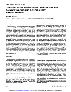 Changes in Plasma Membrane Structure