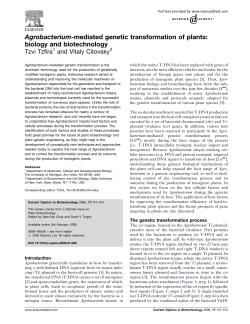 Agrobacterium-mediated genetic transformation of plants: biology