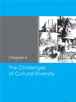 cultural diversity and the india1n nation-state