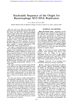Nucleotide Sequence of the Origin for Bacteriophage