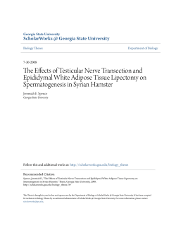 The Effects of Testicular Nerve Transection and Epididymal White