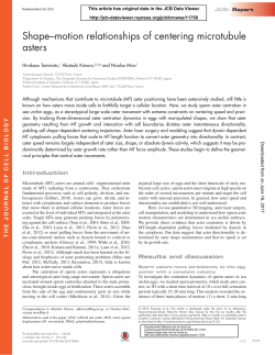 Shape&ndash;motion relationships of centering microtubule asters