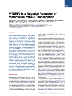 MTERF3 Is a Negative Regulator of Mammalian mtDNA Transcription