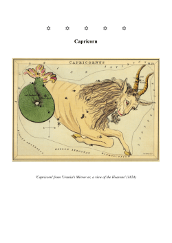 Capricorn - Interactive Stars