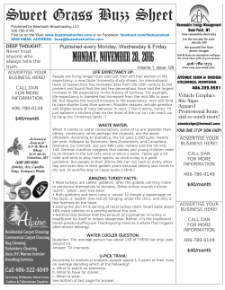 Sweet Grass Buzz Sheet