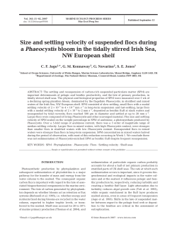 Size and settling velocity of suspended flocs during a Phaeocystis