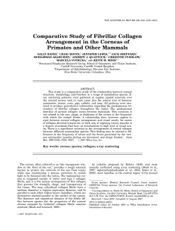 file - ORCA - Cardiff University