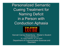 Personalized Semantic Cueing Treatment for Naming Deficit