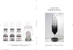 grand opening - Opera Gallery