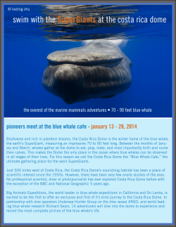 swim with the SuperGiants at the costa rica dome