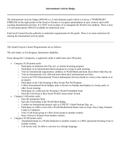 International Activity Badge The International Activity