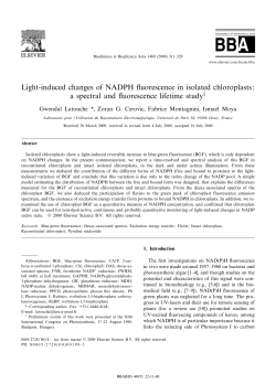 Light-induced changes of NADPH &pound;uorescence in isolated