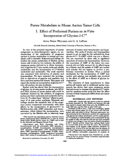 Purine Metabolism in Mouse Ascites Tumor