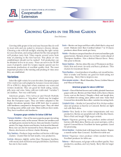 growing grapes in the home garden