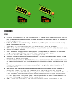 MSM - KEY360 Nutrition