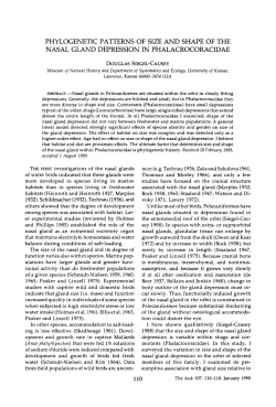 phylogenetic patterns of size and shape of the nasal gland
