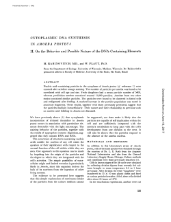 CYTOPLASMIC DNA SYNTHESIS II. On the Behavior and Possible
