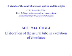 Lecture 4 Notes - MIT OpenCourseWare