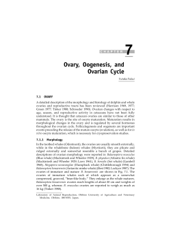 Ovary, Oogenesis, and Ovarian Cycle