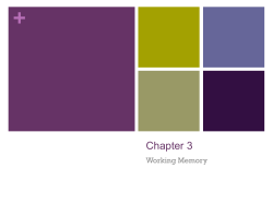 Chapter 3