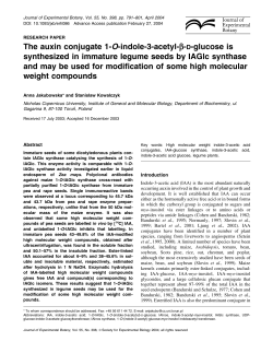 The auxin conjugate 1-O-indole-3-acetyl-b-D