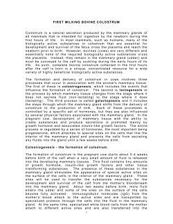 summary report on our colostrum