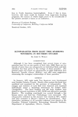 ectoparasites from eight tree sparrows wintering in southern ontario