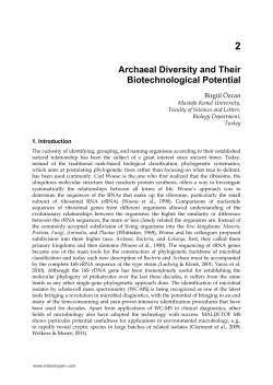 as PDF