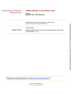 mRNA stability in mammalian cells.