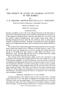 THE EFFECT OF LIGHT ON OVARIAN ACTIVITY IN THE RABBIT
