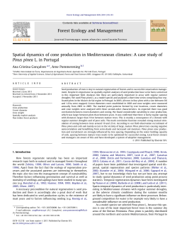 Spatial dynamics of cone production in Mediterranean climates: A
