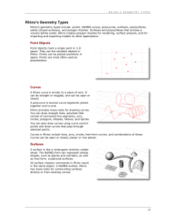 Rhino`s Geometry Types