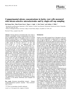Compartmental nitrate concentrations in barley root cells measured