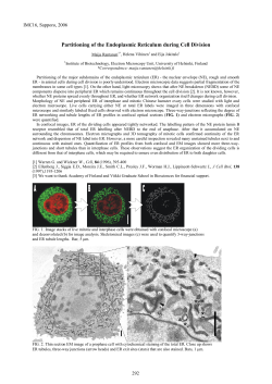 Partitioning of the Endoplasmic Reticulum during Cell Division