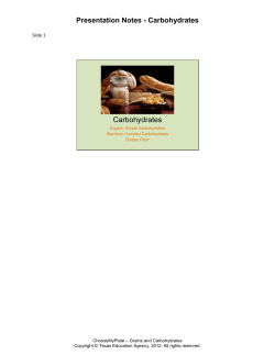 Presentation Notes