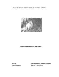 MANAGEMENT PLAN FOR MOUNTAIN GOATS IN ALBERTA